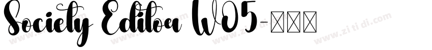 Society Editor W05字体转换